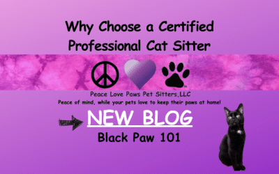 6 Reasons to choose a Certified Professional Pet Sitter in Columbia MO