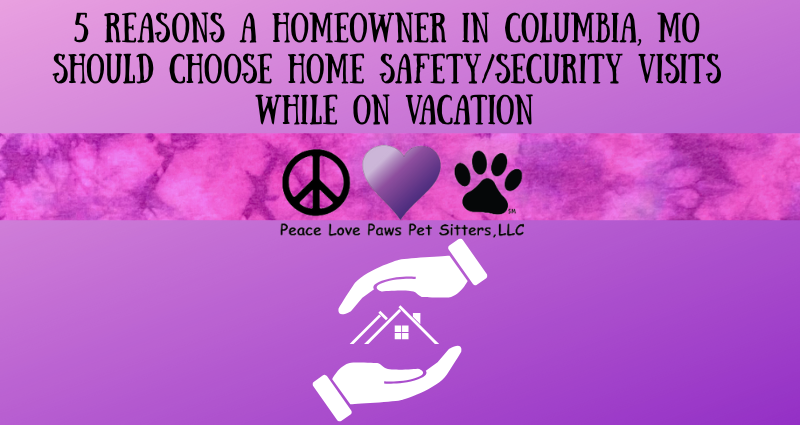 Home safety BLOG post (800 x 425 px)