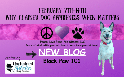 Why Chained Dog Awareness Week Matters