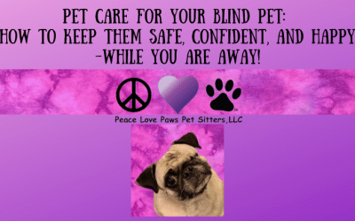 Pet Care for your Blind Pet: How to Keep Them Safe, Confident, and Happy- While you are away!