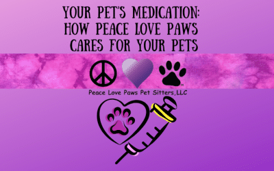 Your Pet’s Medication: How Peace Love Paws Cares for Your Pets