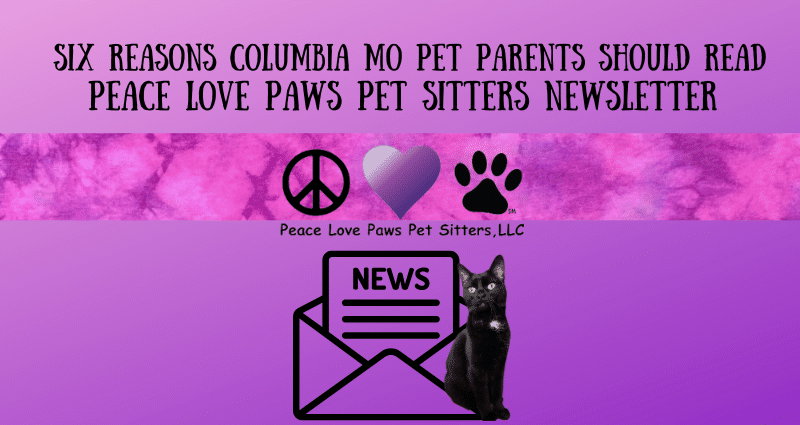 Newsletter BLOG post (800 x 425 px)