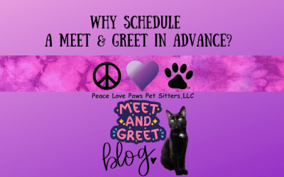 Schedule your meet & greet in advance with Peace Love Paws Pet Sitters