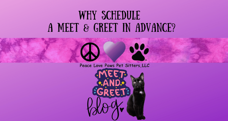 Meet and Greet BLOG post (800 x 425 px)