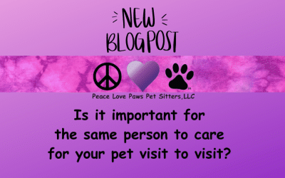 Is it important for the same person to care for your pet visit to visit…